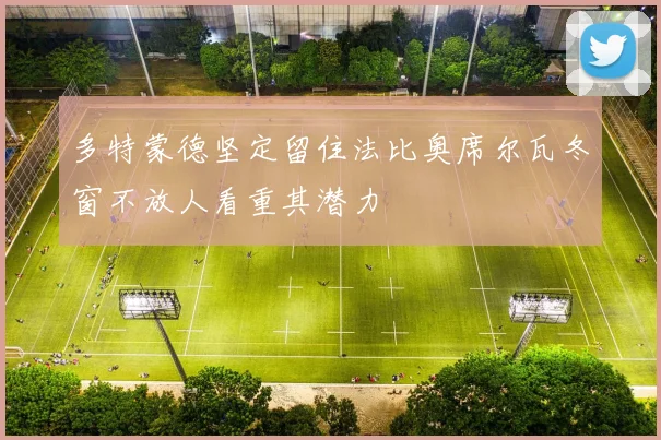 多特蒙德坚定留住法比奥席尔瓦冬窗不放人看重其潜力