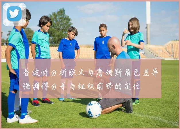 香波特分析欧文与詹姆斯角色差异强调得分手与组织前锋的定位